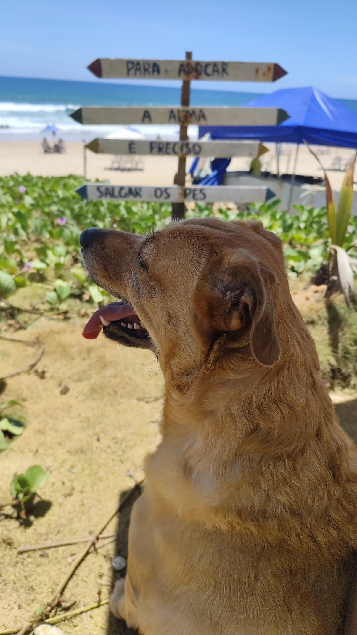 Cláudia Inês Sales